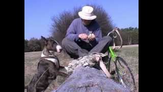 linked willow hearts