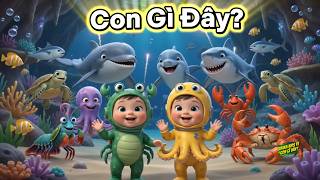 Download lagu Bài Hát Mới 'Con Gì Đây?' Sinh Vật Biển – Nhạc Thiếu Nhi Vui Nhộn Nhộn | Dậy Trẻ Thông Minh Sớm mp3