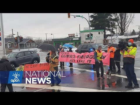 Environmental groups in B.C. shut down Trans Canada | APTN News
