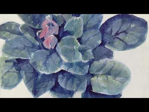 @ionbogdanstefanescu  George Enescu - Cantabile et Presto