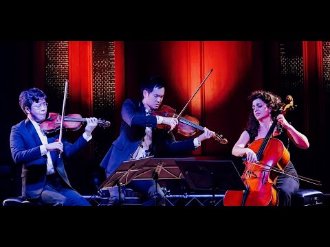 Concerts@Home, Episode 38 — J.S. Bach, The Goldberg Variations, BWV 988