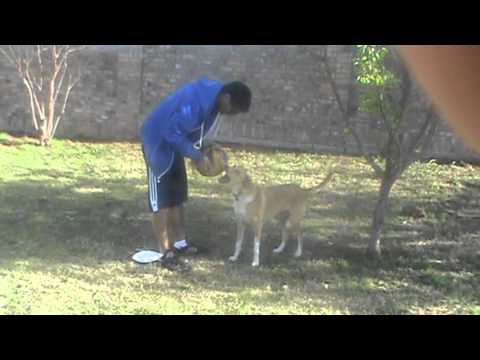 PIPER PLAYING SOCCER WITH KEERTHAN - VOL II - 04-11-2013