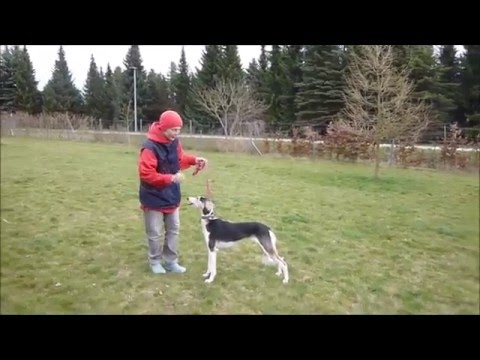 D'Aziza Al Naqawa 7 months