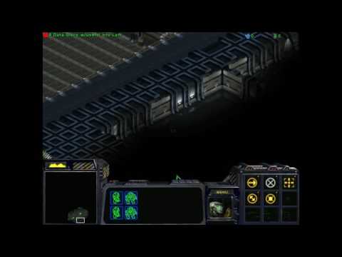 Starcraft 1: Celestial Irruption 05 - One Man's Paradise