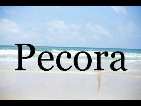 How To Pronounce Pecora🌈🌈🌈🌈🌈🌈Pronunciation Of Pecora