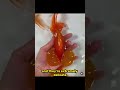 Goldfish breeding taken too far - Bubble Eye Goldfish