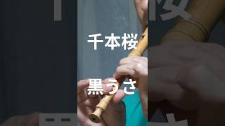 Download lagu 千本桜（黒うさｐ） with ソプラニーノリコーダーで吹いてみた #千本桜  #黒うさp #recorder 💛 mp3