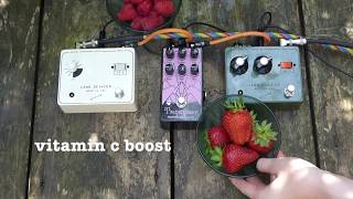 Video thumbnail for Land Devices EP-5  ~ in depth demo by pedal partners