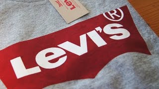 Levi's Shirt with Batwing Logo (Housemark Tee)
