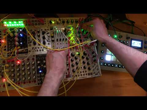 #noiseengineering Melotus Versio granular textures