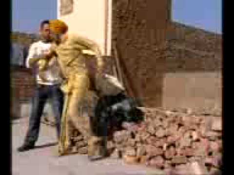 Punjabi Best Funny clip