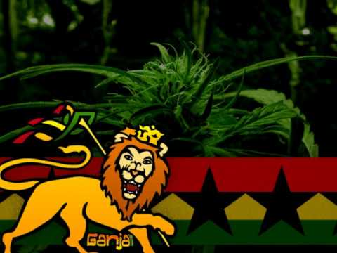 Mighty Rednek- Mary jane