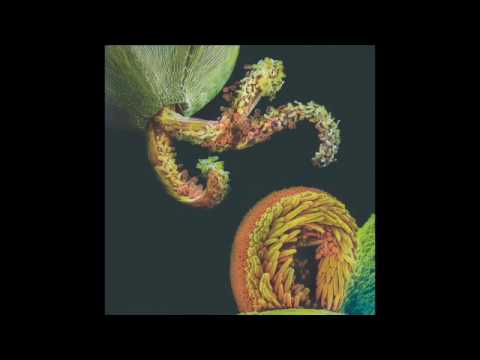 Haito Göpfrich & Patrick Zigon - Detroit liegt am Bodensee (Haito's Kotti Workout)