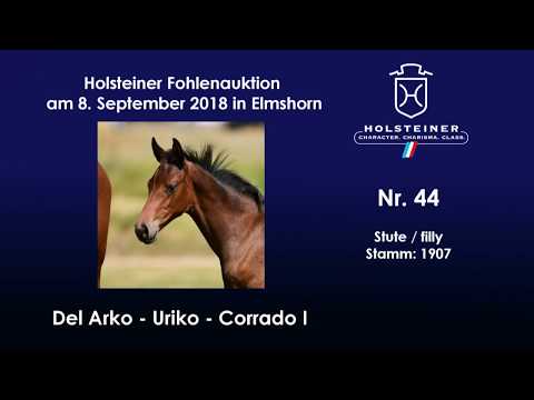 Holsteiner Fohlenauktion | Nr. 44 v. Del Arko - Uriko