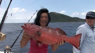 preview picture of video 'Fishing at Trees and Fishes, Havannah Harbour, Vanuatu'