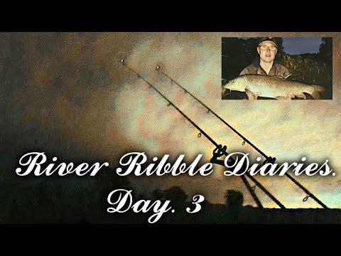 River Ribble Fishing Diaries Day 3. Big Barbel