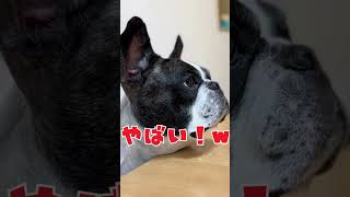 水たまりできた🤣