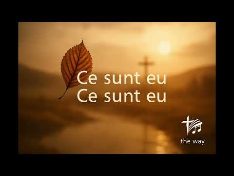 Ce sunt eu, ce sunt eu?