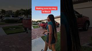 Music video thumbnail preview for Living with a black dog by The Black Dog