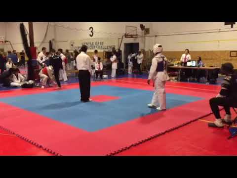 Gentle East Tae Kwon Do Tournament 18nov17