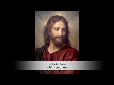 Fr Mulumba Diulu dans Gethsemanée