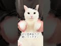 ダンス動画NGテイク 猫は悪くない