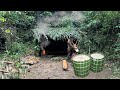 Bertahan Hidup Selama 100 Hari Di Dalam Hutan Membuat Sagu Dan Mengolah Jamur Langka