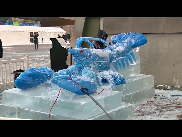 New England Aquarium reveals giant blue lobster ice sculpture