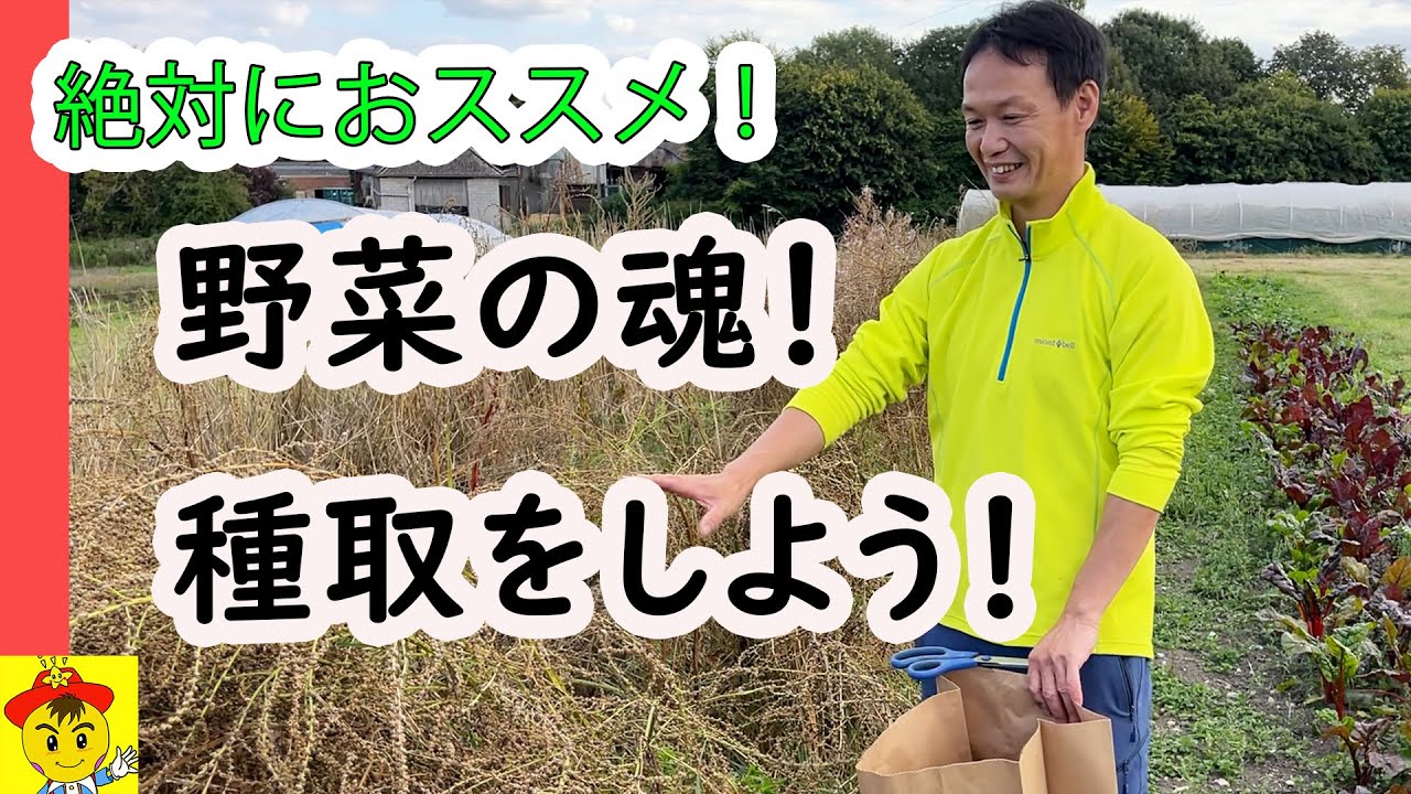 命をつなぐ自家採種のコツと本質的メリット