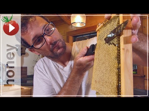 Honey Harvest - Spinning Out 4 Gallons of Honey!