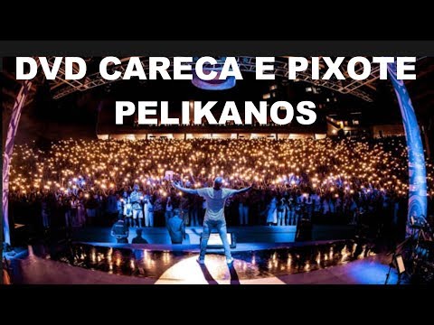 DVD DE FUNK - MC CARECA E PIXOTE - VOL 1 - PELIKANOS