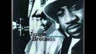 JUNGLE BROTHERS   JUNGLE BROTHER  TERRA NOVA