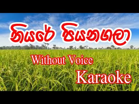 Niyare Piyanagala Karaoke Songs for party - Saman De Silva