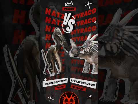 Hatz vs Styraco! Who do you think has the edge? #shorts