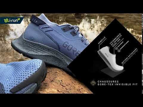 Nike Pegasus Trail 2 Gore-Tex M 