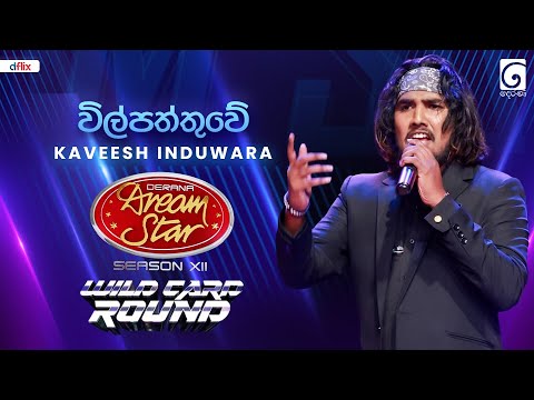 Wilpaththuwe (විල්පත්තුවේ) Kaveesh Induwara | Dream Star Season 12 | Wild Card Round | TV Derana