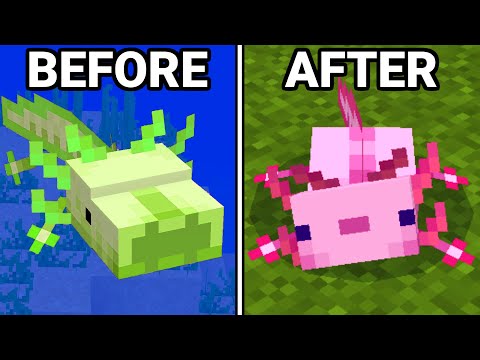 36 Minecraft Changes You Missed!