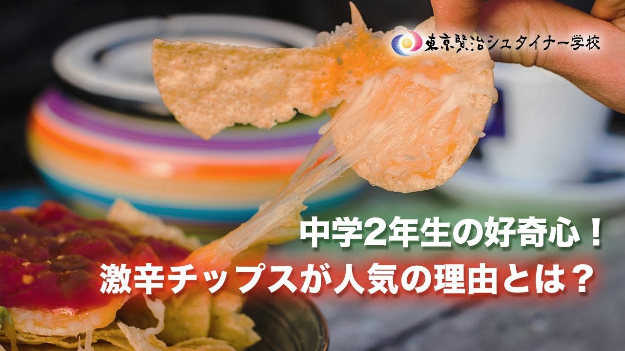 中学2年生の探求心の謎解き！激辛チップスが人気の理由とは？~中学校2年生の成長段階~【シュタイナー教育講座】(108)