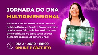 JORNADA DO DNA MULTIDIMENSIONAL #DIA 02 - Karina Gomes