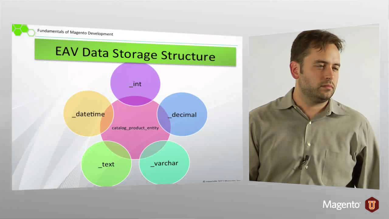 Section 6   EAV Model Overview