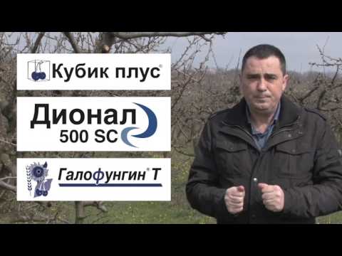 Zastita sljive i breskve od monilije, Galenika Fitofarmacija - U nasem ataru 630