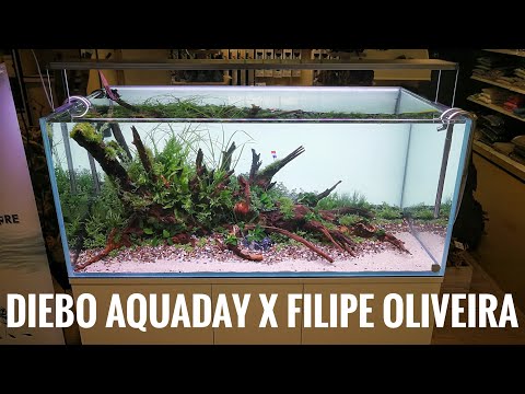Diebo AquaDay x Filipe Oliveira | Aquascape and tour to the shop