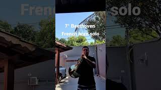 7° Beethoven french horn solo
