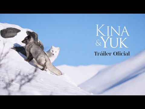 Tráiler Oficial