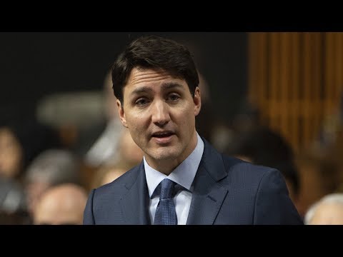 Question Period: MP Adam Vaughan’s Doug Ford tweet, budget deficit — February 4, 2019