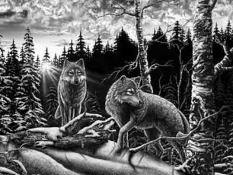 Lobos video