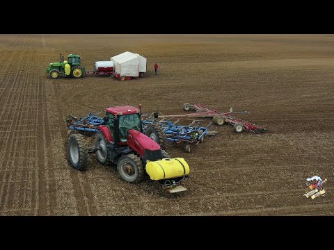 Planting Tomatoes on the Ohio Indiana State-line
