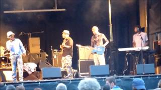 Dreadless ft. Rod Taylor live 'Mr  Money Man' and 'Revolution' Helden in het Park,15-08-2013