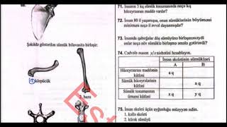 Sümüklər. İnsan skeleti (51-76) | Dayaq-hərəkət sistemi | Biologiya DİM test toplusu 2025