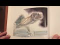 Old Turtle And The Broken Truth Children S Story